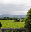View From Back